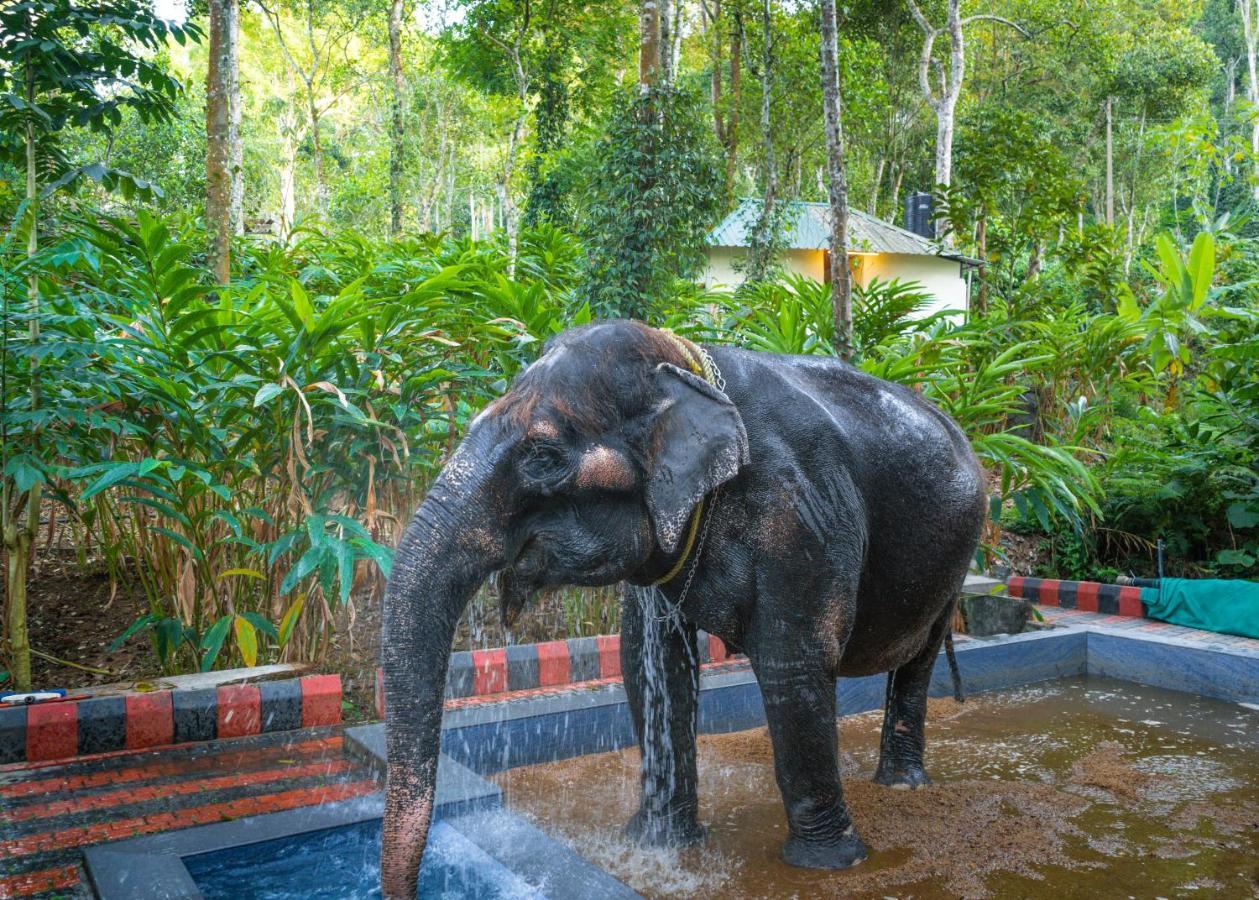 Amritara Shalimar Spice Garden Resort & Spa Thekkady Ngoại thất bức ảnh