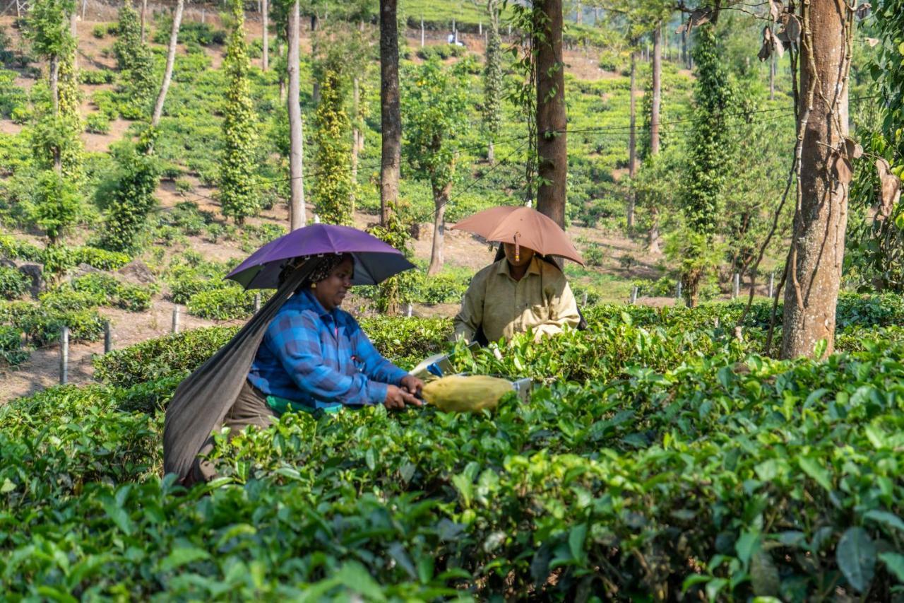 Amritara Shalimar Spice Garden Resort & Spa Thekkady Ngoại thất bức ảnh